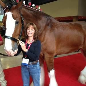 Meet your Posher, Kathy